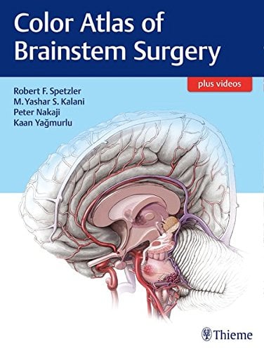 Color Atlas of Brainstem Surgery (EPUB)