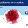 Microbiology in Your Pocket: Quick Pathogen Review (Original PDF from Publisher)