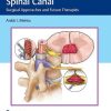 Tumors of the Spinal Canal: Surgical Approaches and Future Therapies (Original PDF from Publisher)
