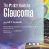 The Pocket Guide to Glaucoma (EPUB)