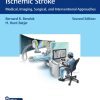 Hemorrhagic and Ischemic Stroke – Medical, Imaging, Surgical, and Interventional Approaches, 2nd Edition (Original PDF from Publisher)