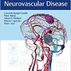 Decision Making in Neurovascular Disease, 1st edition (EPUB)
