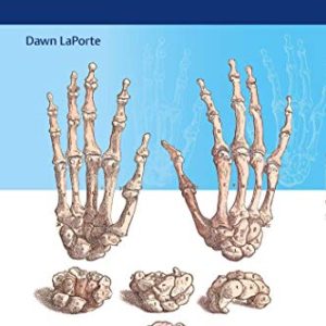 Synopsis of Hand Surgery (Original PDF from Publisher)