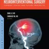 Neurointerventional Surgery: Current Status and Future Prospects (Original PDF from Publisher)