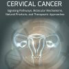Cervical Cancer: Signaling Pathways, Molecular Mechanisms, Natural Products, and Therapeutic Approaches (EPUB)