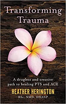 Transforming Trauma: A Drugless and Creative Path to Healing PTS and ACE (EPUB)