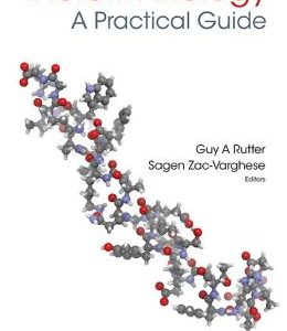 Incretin Biology – A Practical Guide: GLP-1 and GIP Physiology