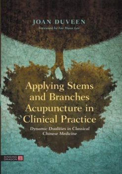 Applying Stems and Branches Acupuncture in Clinical Practice (EPUB)