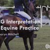ECG Interpretation in Equine Practice (Original PDF from Publisher)