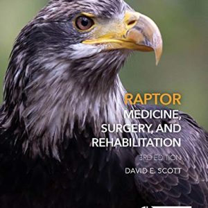 Raptor Medicine, Surgery and Rehabilitation 3rd Edition (Original PDF from Publisher)