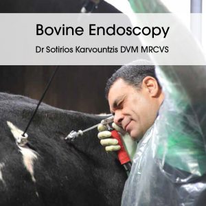 Bovine Endoscopy (EPUB)