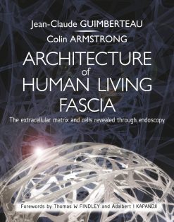 Architecture of Human Living Fascia: The Extracellular Matrix and Cells Revealed Through Endoscopy (EPUB)