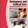 BSAVA Manual of Canine and Feline Emergency and Critical Care, 3rd Edition (BSAVA British Small Animal Veterinary Association) (Original PDF from Publisher)
