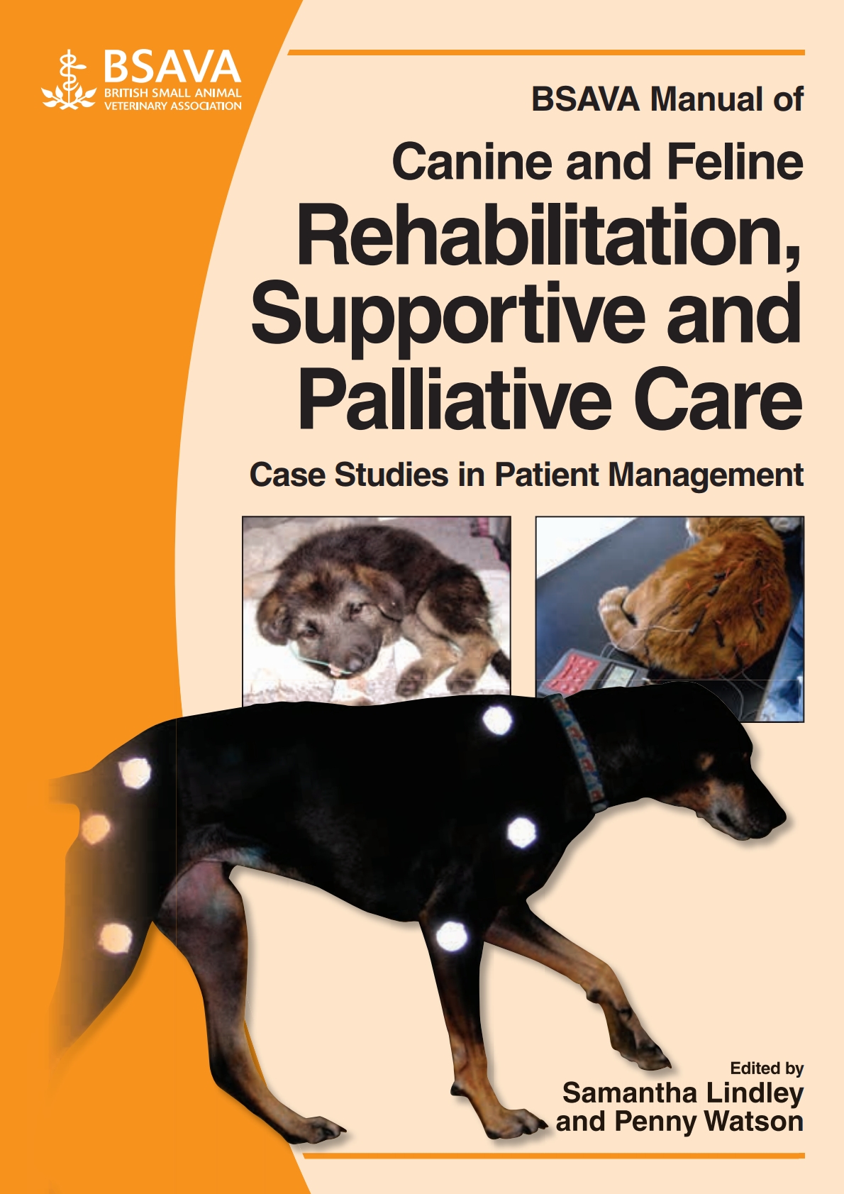 BSAVA Manual of Canine and Feline Rehabilitation, Supportive and Palliative Care (Original PDF from Publisher)