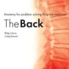 Anatomy for problem solving in sports medicine: The Back