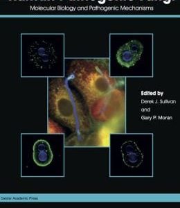 Human Pathogenic Fungi: Molecular Biology and Pathogenic Mechanisms