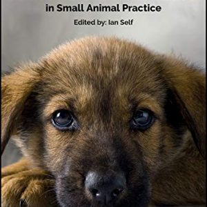 BSAVA Guide to Pain Management in Small Animal Practice (BSAVA British Small Animal Veterinary Association) (Original PDF from Publisher)