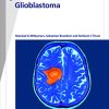 Fast Facts: Glioblastoma: New molecular concepts pave the way for advances in diagnosis and treatment (Original PDF from Publisher)