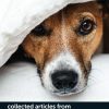 How To…collected articles from BSAVA Companion 2016-2020 (Original PDF from Publisher)