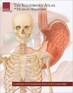 The Illustrated Atlas of Human Anatomy