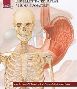 The Illustrated Atlas of Human Anatomy