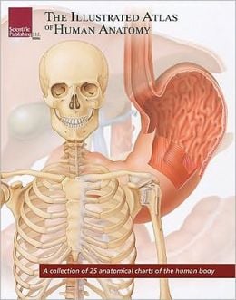 The Illustrated Atlas of Human Anatomy