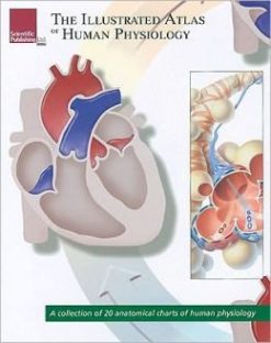 The Illustrated Atlas of Human Physiology