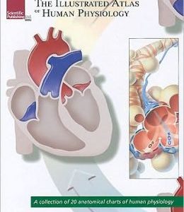 The Illustrated Atlas of Human Physiology