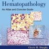 Neoplastic Hematopathology: An Atlas and Concise Guide