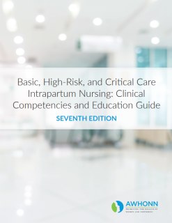 Basic, High-Risk and Critical-Care Intrapartum Nursing, 7th Edition (Original PDF from Publisher)