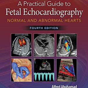 A Practical Guide to Fetal Echocardiography: Normal and Abnormal Hearts, 4ed (ePub+Converted PDF)