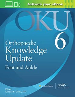 Orthopaedic Knowledge Update: Foot and Ankle 6 (EPUB + Converted PDF)