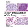 Biopsy Interpretation of the Lung, 2ed (Biopsy Interpretation Series) (ePub)