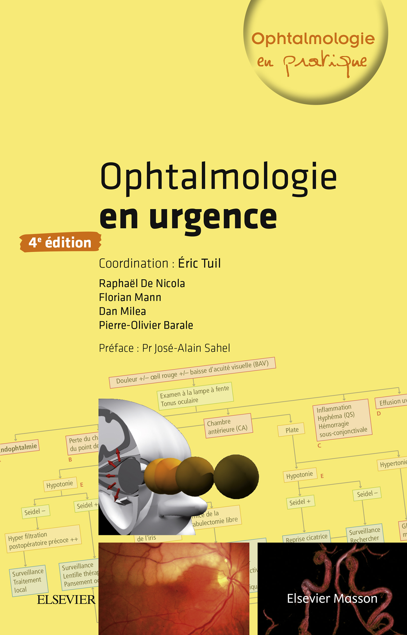 Ophtalmologie en urgence, 4th Edition (EPUB)