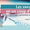 Les vaccins en un coup d’oeil: Vaccins et pathologies à prévention vaccinale (Original PDF from Publisher)