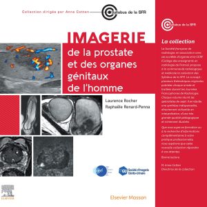 Imagerie de la prostate et des organes génitaux de l’homme (Original PDF from Publisher)