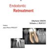 Clinical Success in Endodontic Retreatment (EPUB)
