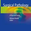 Surgical Pathology: A Practical Guide for Non-Pathologist (Original PDF from Publisher)