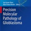 Precision Molecular Pathology of Glioblastoma (Molecular Pathology Library) (Original PDF from Publisher)