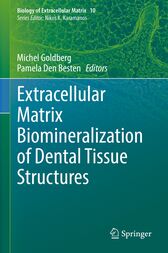 Extracellular Matrix Biomineralization of Dental Tissue Structures (Original PDF from Publisher)