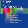 Knee Arthroscopy: How to Succeed (Original PDF from Publisher)