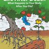 Life After Death: What Happens to Your Body After You Die? (Springer Praxis Books) (Original PDF from Publisher)