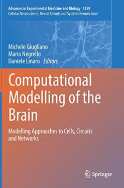 Computational Modelling of the Brain: Modelling Approaches to Cells, Circuits and Networks (Advances in Experimental Medicine and Biology, 1359) (Original PDF from Publisher)