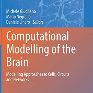 Computational Modelling of the Brain: Modelling Approaches to Cells, Circuits and Networks (Advances in Experimental Medicine and Biology, 1359) (Original PDF from Publisher)