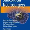 Subcortical Neurosurgery: Open and Parafascicular Channel-Based Approaches for Subcortical and Intraventricular Lesions (Original PDF from Publisher)