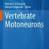 Vertebrate Motoneurons (Advances in Neurobiology, 28) (Original PDF from Publisher)