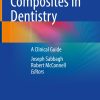 Bulk Fill Resin Composites in Dentistry (Original PDF from Publisher)