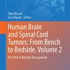 Human Brain and Spinal Cord Tumors: From Bench to Bedside. Volume 2 (EPUB)