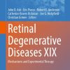 Retinal Degenerative Diseases XIX (Original PDF from Publisher)
