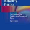 Skilled Heartfelt Midwifery Practice (Original PDF from Publisher)